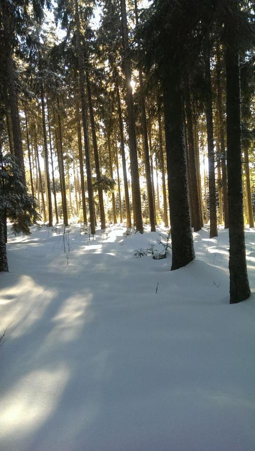 Schwarzwald Geht Immer Fewo 60 Qm Mit Grossem Suedbalkon, Wlan Und Magenta Tv Schönwalde Exteriör bild
